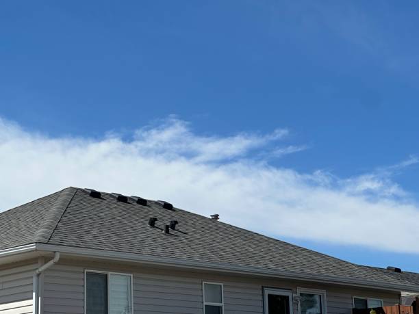 Reliable Grantville, GA Roofing Services Solutions